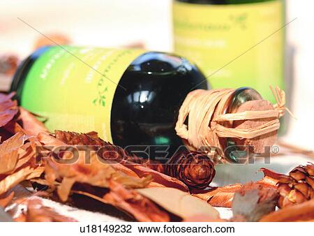Day, Outdoor View Large Photo Image Stock Image - Day, Outdoor. Fotosearch