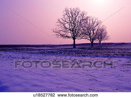 Day, Outdoor View Large Photo Image Stock Image - Day, Outdoor. Fotosearch