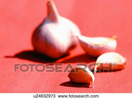 Stock Image - Day, Outdoor. Fotosearch