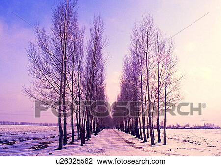 Stock Image - Day, Outdoor. Fotosearch