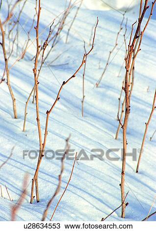 Day, Outdoor View Large Photo Image Stock Image - Day, Outdoor. Fotosearch