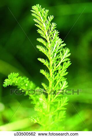 Day, Outdoor View Large Photo Image Stock Image - Day, Outdoor. Fotosearch