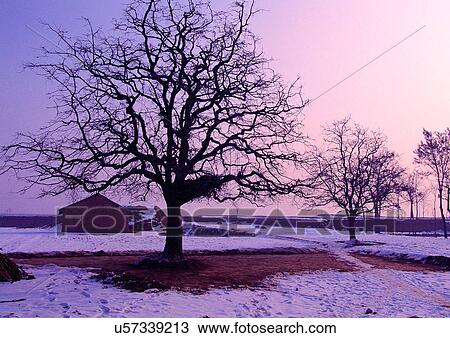 Stock Image - Day, Outdoor. Fotosearch