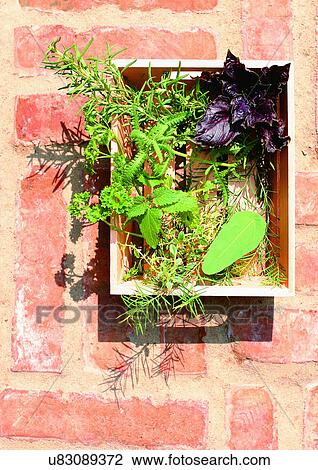 Stock Image - Day, Outdoor. Fotosearch