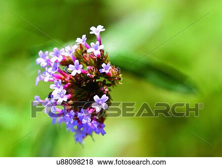 Day, Outdoor View Large Photo Image Stock Photo - Day, Outdoor. Fotosearch
