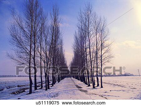 Day, Outdoor View Large Photo Image Stock Photography - Day, Outdoor. Fotosearch
