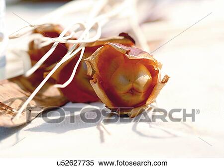 Day, Outdoor View Large Photo Image Stock Photography - Day, Outdoor. Fotosearch