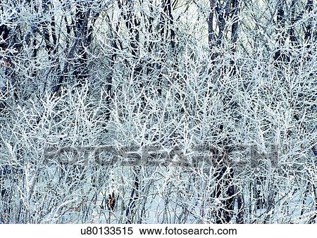 Stock Photography - Day, Outdoor, Winter, Weather. Fotosearch