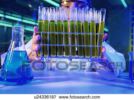 Development, Group Of Objects, Field, Advancement View Large Photo Image Stock Photo - Development, Group Of Objects, Field, Advancement. Fotosearch
