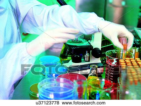 Development, Group Of Objects, Field, Advancement View Large Photo Image Stock Photo - Development, Group Of Objects, Field, Advancement. Fotosearch