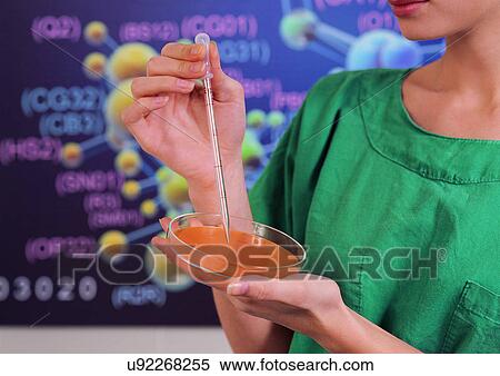 Development, Indoor, Field, Advancement View Large Photo Image Stock Photography - Development, Indoor, Field, Advancement. Fotosearch