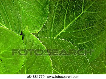 Stock Photo - environment, focus, indoor. Fotosearch