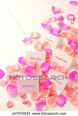 Stock Image - Flower, Flower Petal, Wedding Party. Fotosearch