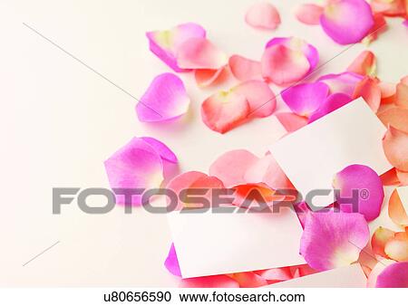 Stock Image - Flower, Flower Petal, Wedding Party. Fotosearch