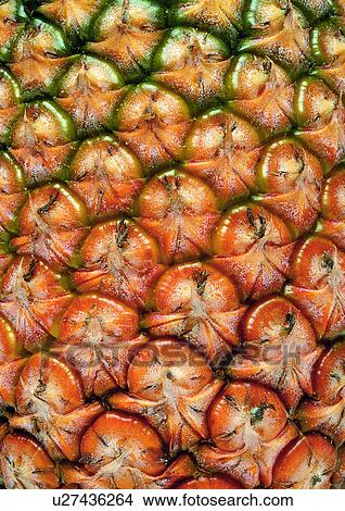Picture - Full Frame, Indoor, Large Group Of Objects, Part Of. Fotosearch