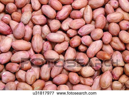 Stock Photo - Full Frame, Indoor, Large Group Of Objects. Fotosearch