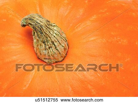 Full Frame, Indoor, One Object, Part Of View Large Photo Image Stock Photography - Full Frame, Indoor, One Object, Part Of. Fotosearch