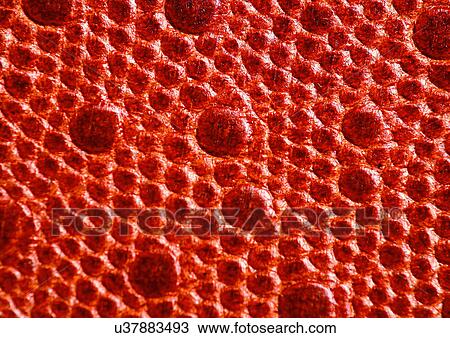 Full Frame, Texture View Large Photo Image Stock Image - Full Frame, Texture. Fotosearch