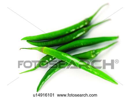 green, chilly, peppers View Large Photo Image Stock Image - green, chilly, peppers. Fotosearch