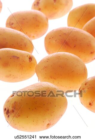 grocery, vegetable, food stuff View Large Photo Image Stock Image - grocery, vegetable, food stuff. Fotosearch
