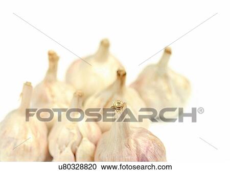 Stock Image - Group Of Objects, Indoor, Part Of. Fotosearch