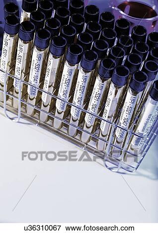 Stock Photo - Group Of Objects, Indoor, Part Of. Fotosearch