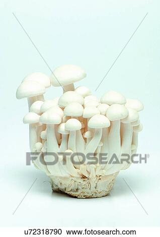 Stock Image - Group Of Objects, Indoor. Fotosearch