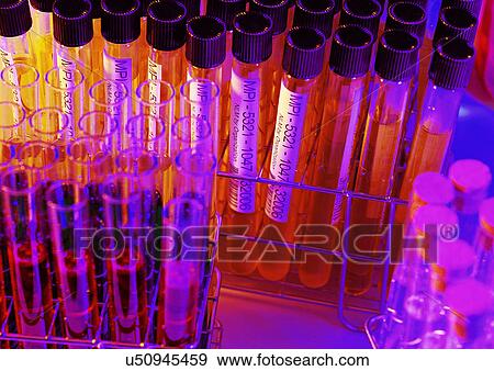 Group Of Objects, Indoor View Large Photo Image Stock Photo - Group Of Objects, Indoor. Fotosearch
