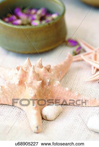 Group Of Objects, Part Of View Large Photo Image Stock Photo - Group Of Objects, Part Of. Fotosearch