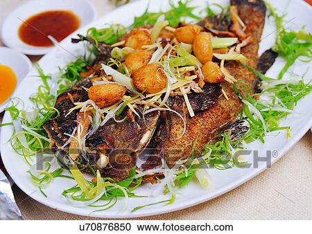 Stock Image - Indoor, Close-Up. Fotosearch