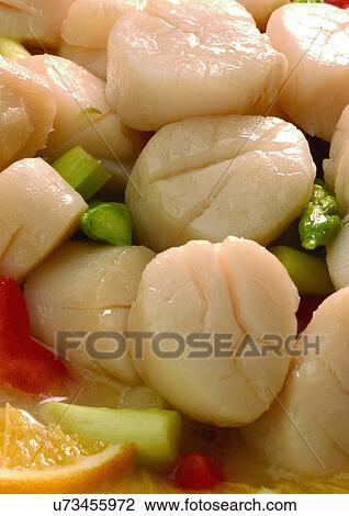Stock Image - Indoor, Close-Up. Fotosearch