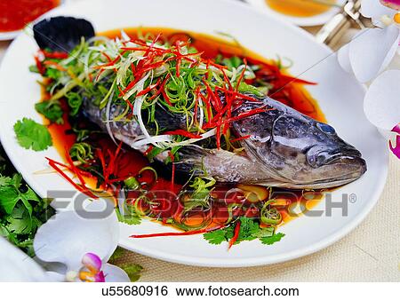 Indoor, Close-Up View Large Photo Image Stock Photograph - Indoor, Close-Up. Fotosearch