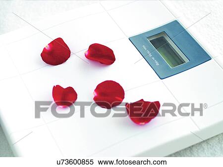 Indoor, Natural View Large Photo Image Stock Photography - Indoor, Natural. Fotosearch