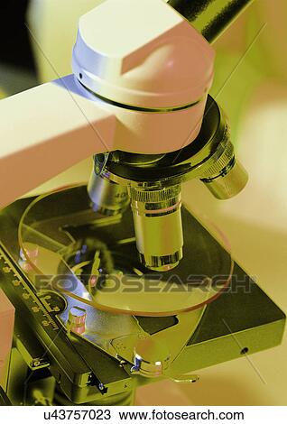 Stock Image - Indoor, One Object, Part Of. Fotosearch