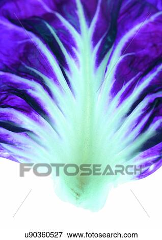 Indoor, One Object, Part Of View Large Photo Image Stock Photo - Indoor, One Object, Part Of. Fotosearch