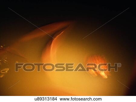 Picture - Indoor, One Object. Fotosearch