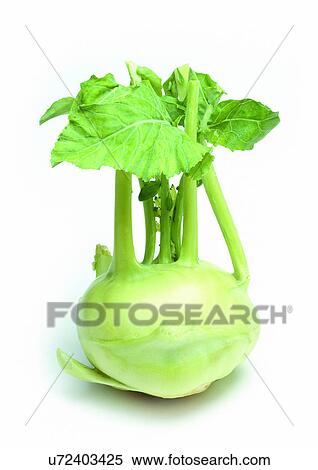Indoor, One Object, Still Life View Large Photo Image Stock Photography - Indoor, One Object, Still Life. Fotosearch