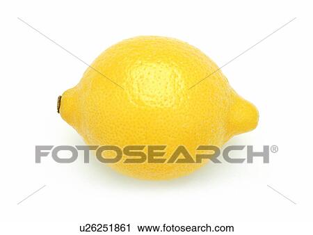 Indoor, One Object View Large Photo Image Stock Image - Indoor, One Object. Fotosearch