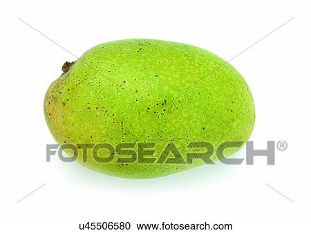Stock Image - Indoor, One Object. Fotosearch