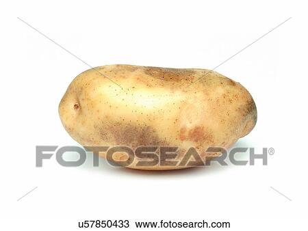 Stock Image - Indoor, One Object. Fotosearch