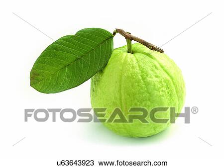 Stock Image - Indoor, One Object. Fotosearch