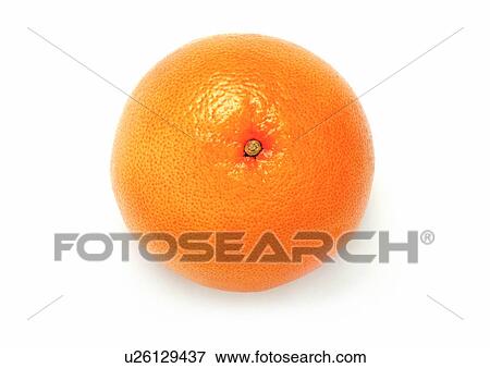 Stock Photo - Indoor, One Object. Fotosearch