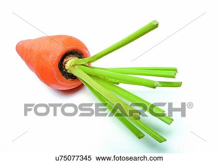 Indoor, One Object View Large Photo Image Stock Photography - Indoor, One Object. Fotosearch