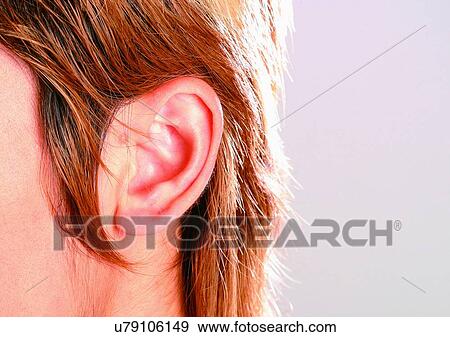 Stock Photo - Indoor, One Person, Part Of. Fotosearch