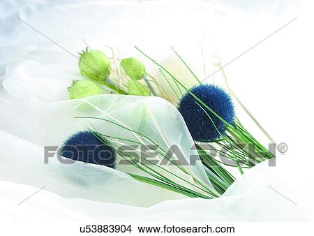 Picture - Indoor, Part Of. Fotosearch