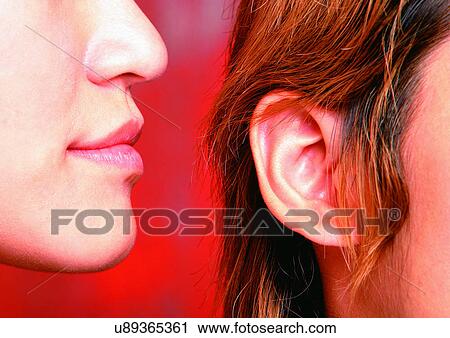 Stock Image - Indoor, Part Of. Fotosearch