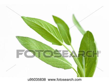 Stock Photo - Indoor, Part Of. Fotosearch