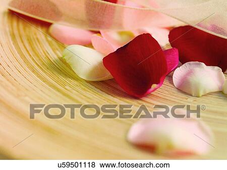 Stock Photo - Indoor, Rose Petals. Fotosearch