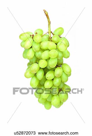 Stock Image - Indoor, Still Life. Fotosearch