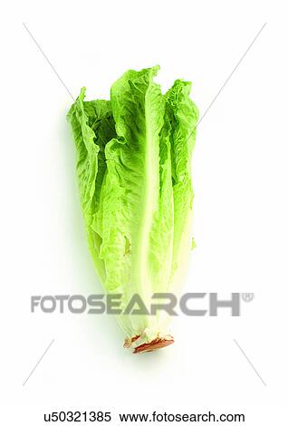 Indoor, Still Life View Large Photo Image Stock Photography - Indoor, Still Life. Fotosearch